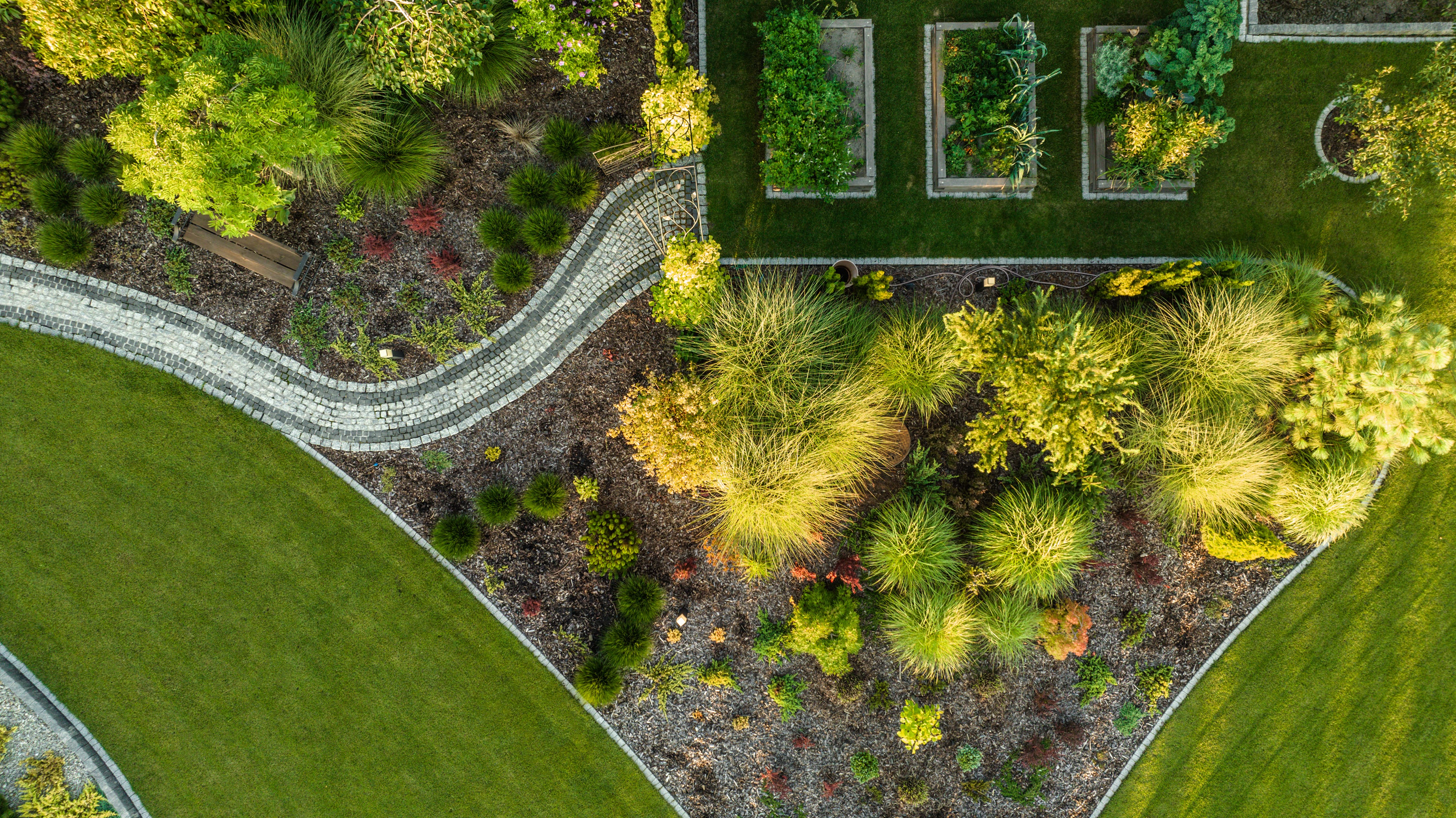 Modern Garden Layout