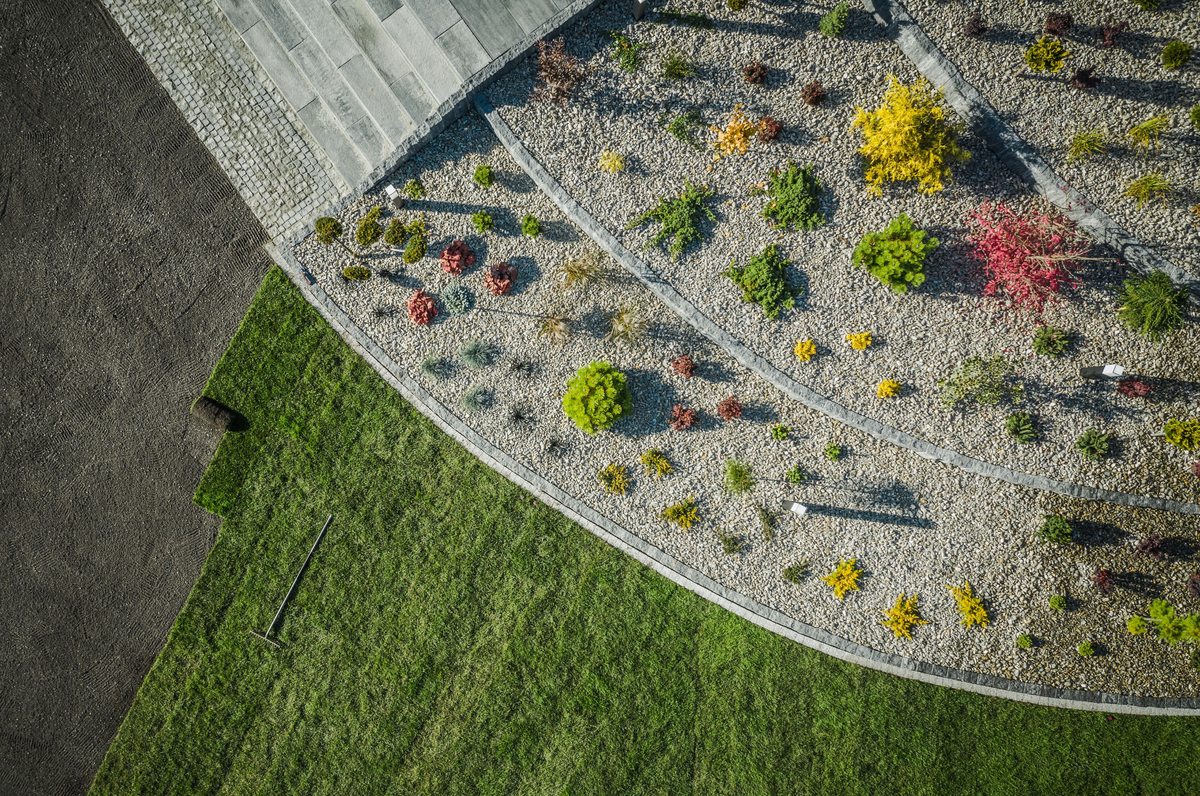 Backyard Garden