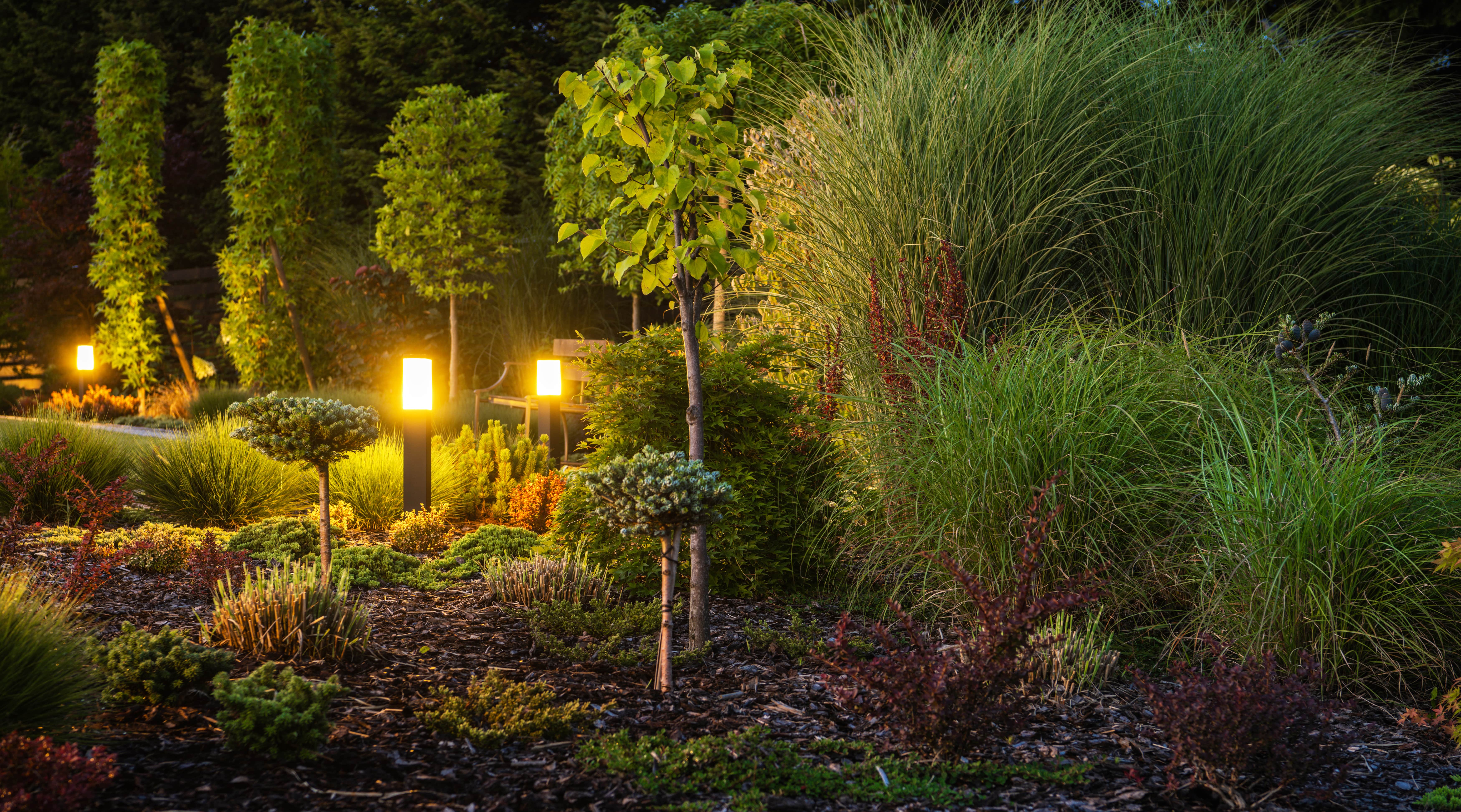 Illuminated Garden